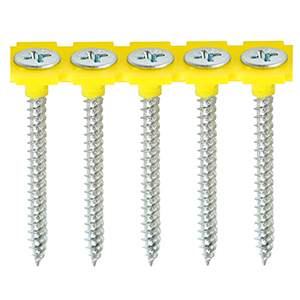 Collated - Drywall Screw - Fine