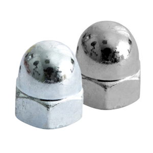 Picture for category Hex Dome Nut
