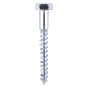 Coach Screw - Zinc