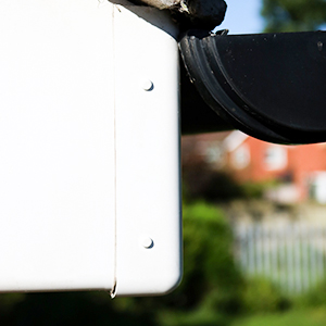 Poly Headed Nails & Pins