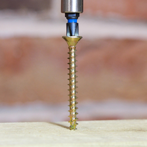 Picture for category Timber Construction Screws