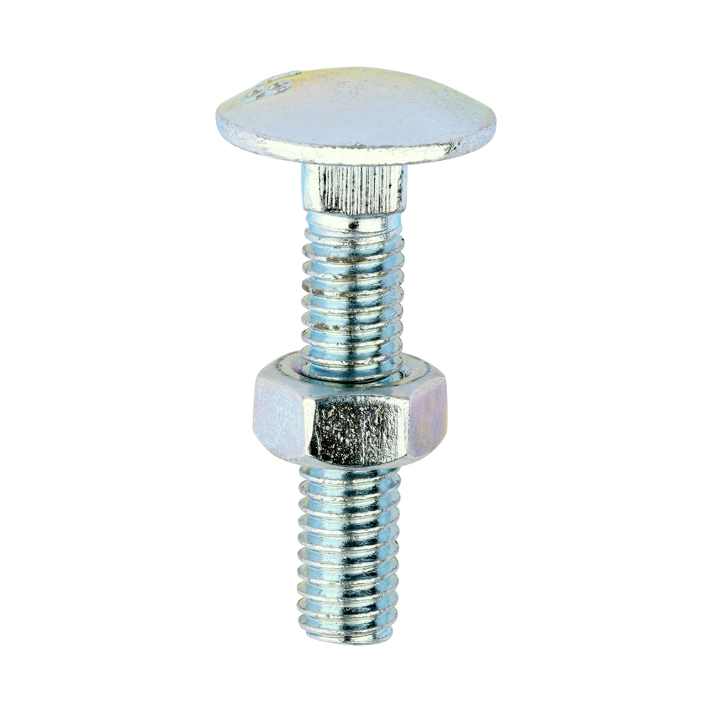 Carriage Bolts & Hex Nuts - Zinc