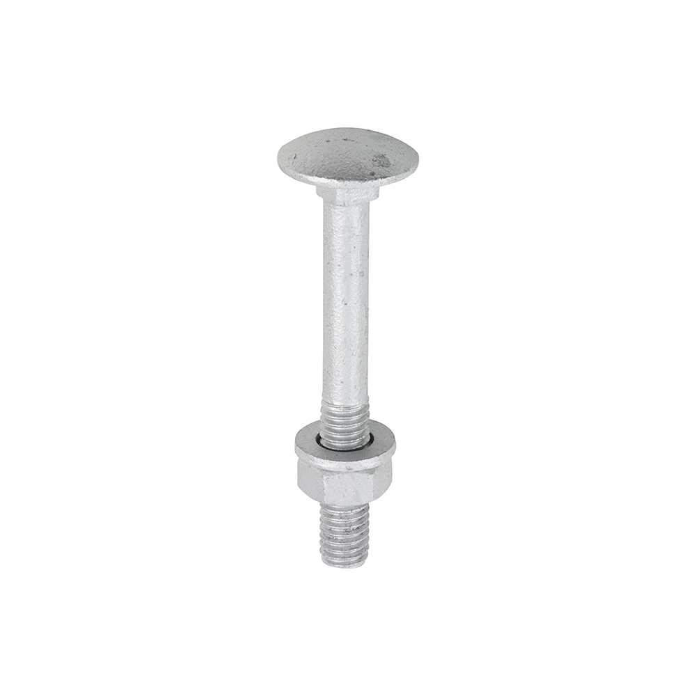 Carriage Bolts Hex Nuts & Form A Washers - Dome - Exterior - Silver