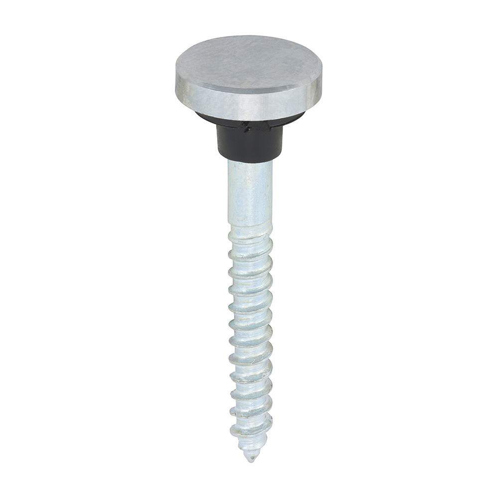 Mirror Screws - Zinc - Chrome Flat