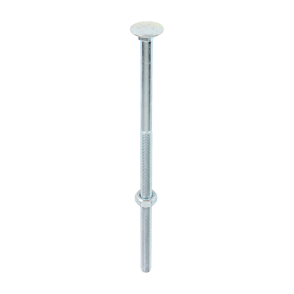 Carriage Bolts & Hex Nuts - Zinc