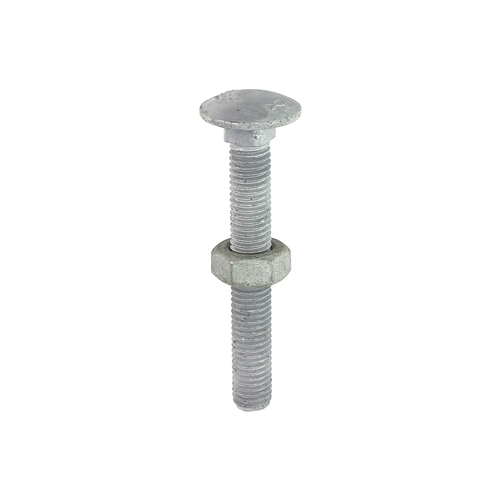 Carriage Bolts & Hex Nuts - Hot Dipped Galvanised