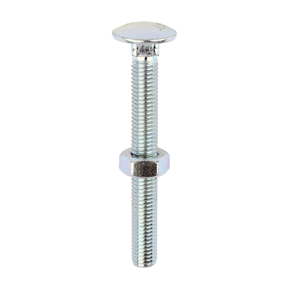 Carriage Bolts & Hex Nuts - Zinc