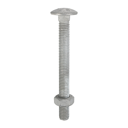 Picture of Carriage Bolts & Hex Nuts - Hot Dipped Galvanised