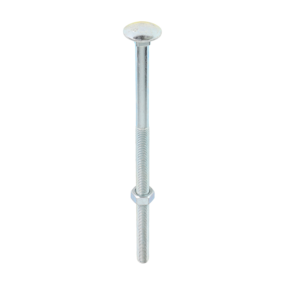 Carriage Bolts & Hex Nuts - Zinc