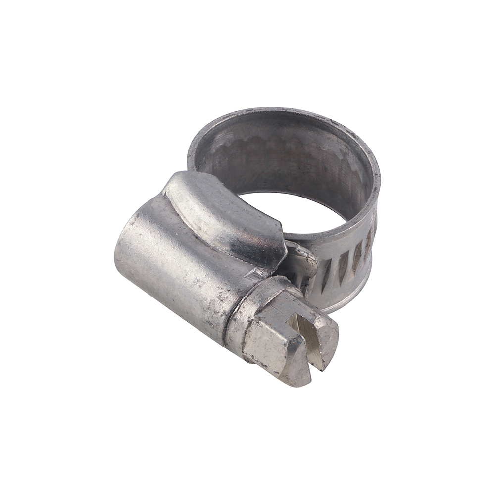 Hose Clips - Stainless Steel