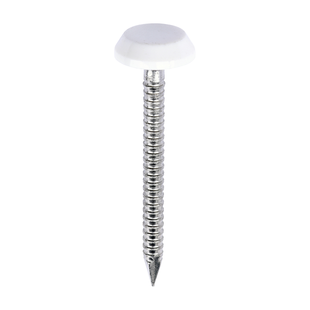 Picture of Polymer Headed Nails - A4 Stainless Steel - White