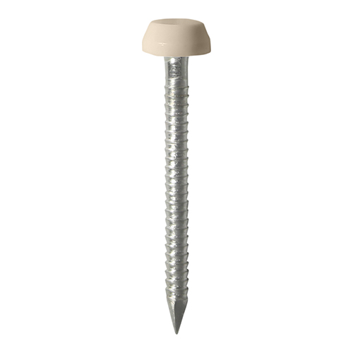 Polymer Headed Pins - A4 Stainless Steel - Beige