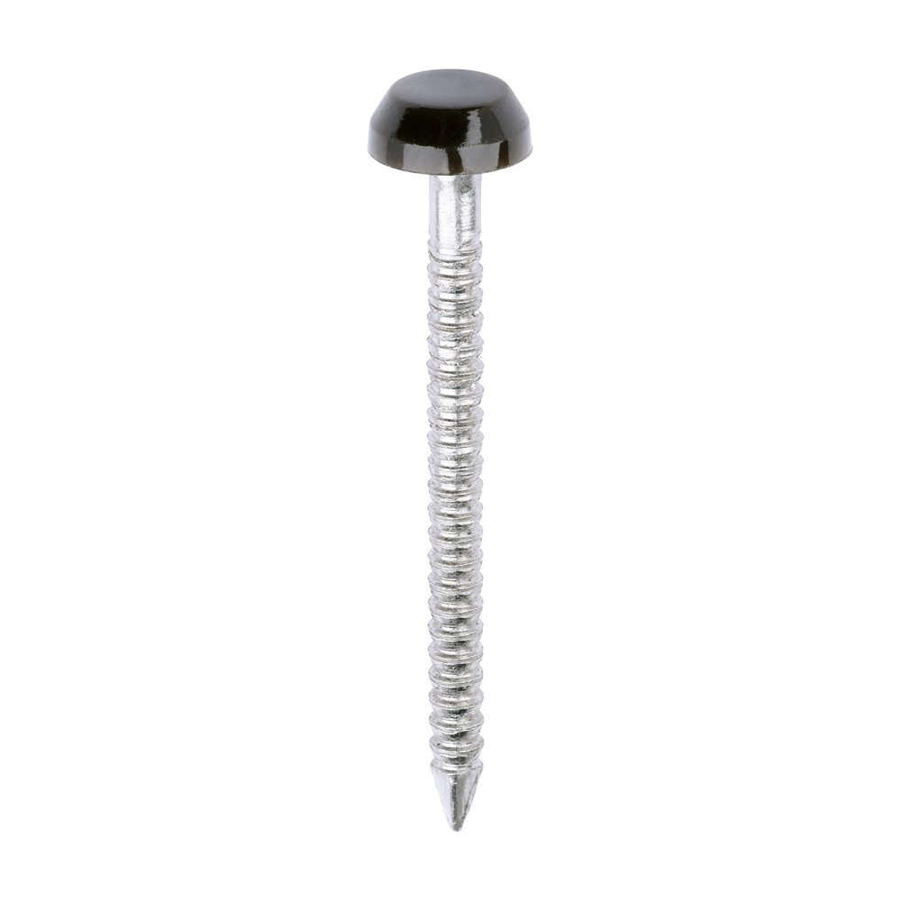 Picture of Polymer Headed Pins - A4 Stainless Steel - Mahogany