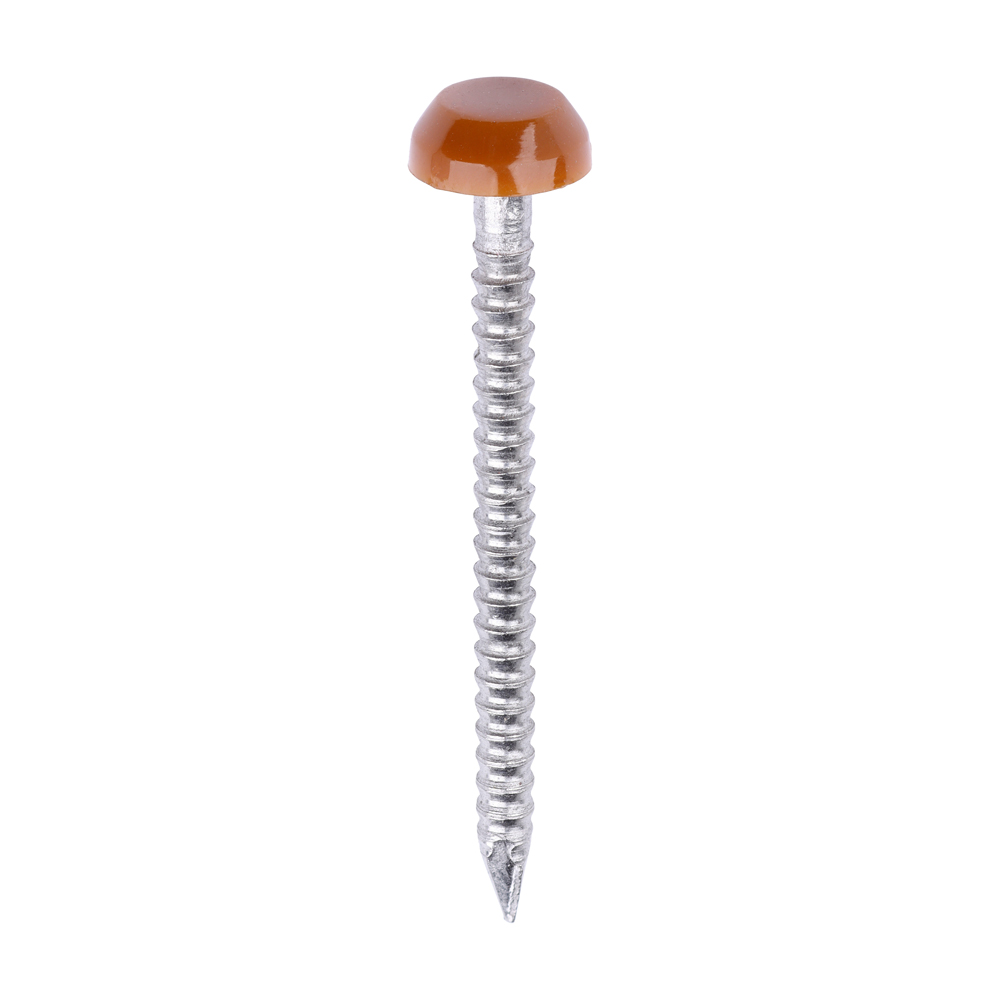 Polymer Headed Pins - A4 Stainless Steel - Clay Brown