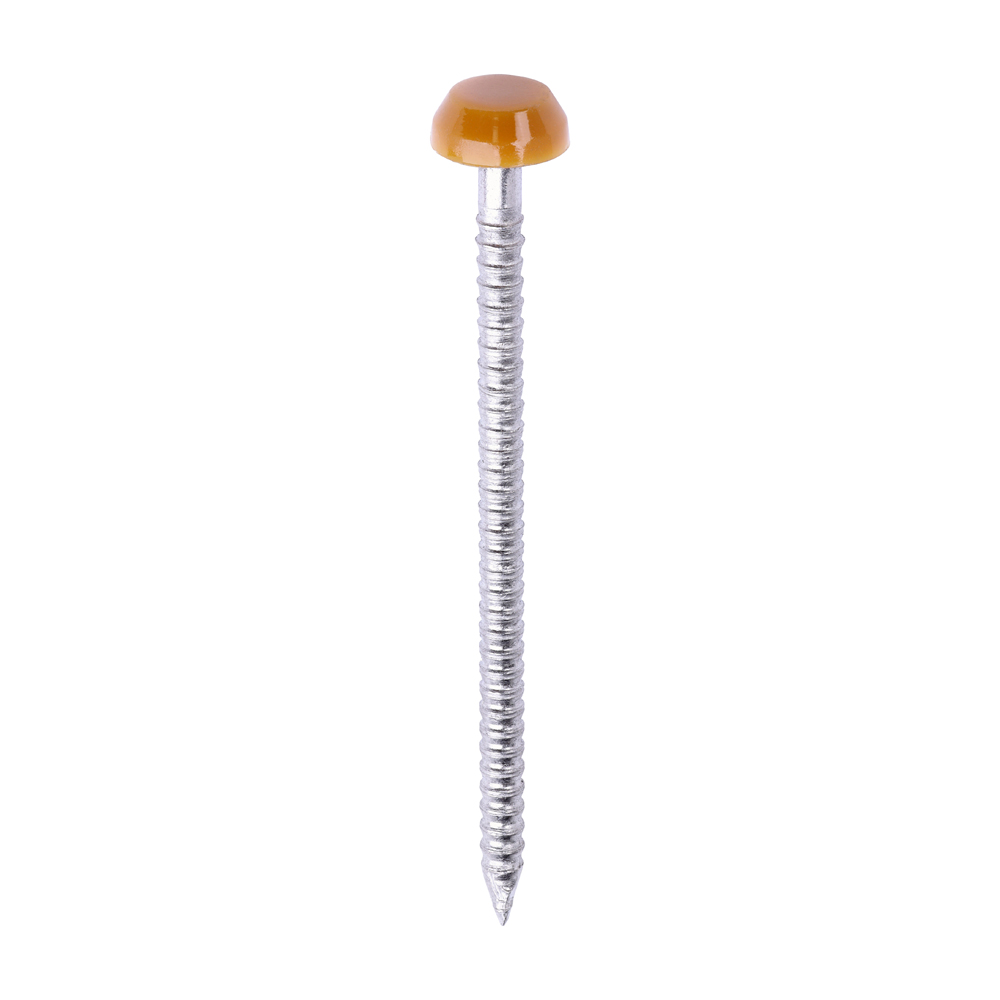 Polymer Headed Pins - A4 Stainless Steel - Oak