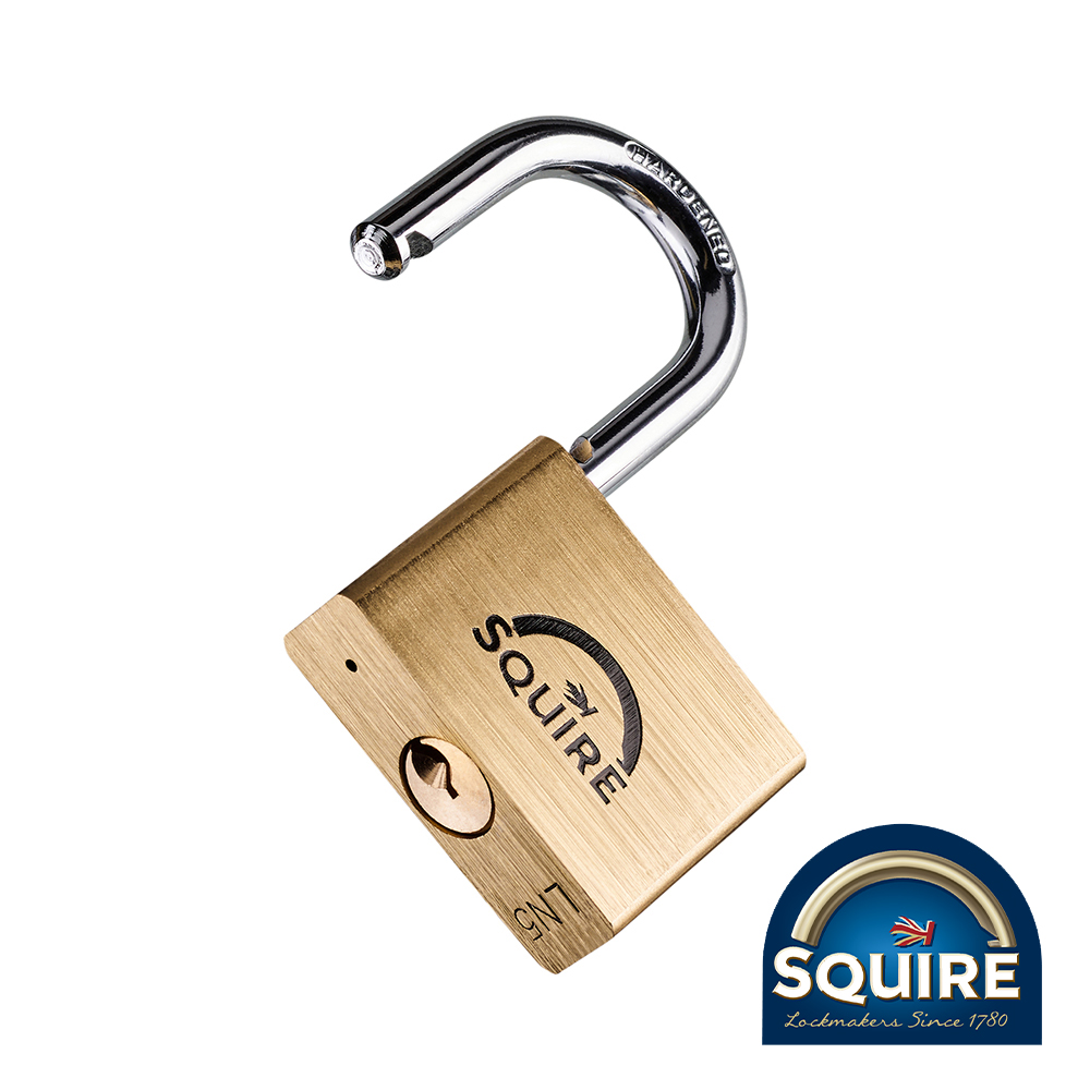 Premium Brass Lion Padlock - Stainless Steel Shackle - LN5S